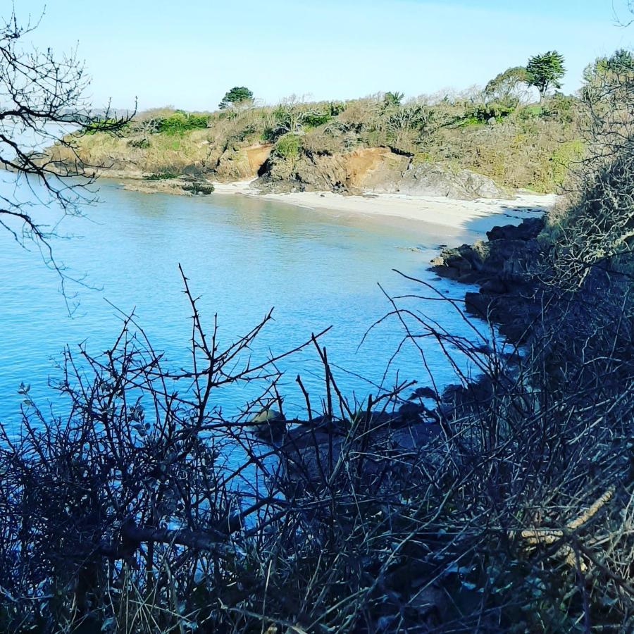 Le 3 Appartement Vue Mer Avec Jardin 100M De La Plage Et De La Thalasso Concarneau Exterior foto
